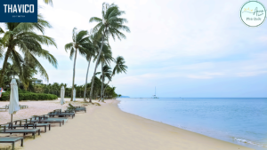 Bãi Trường bên dải cát trắng biển xanh đầy thơ mộng