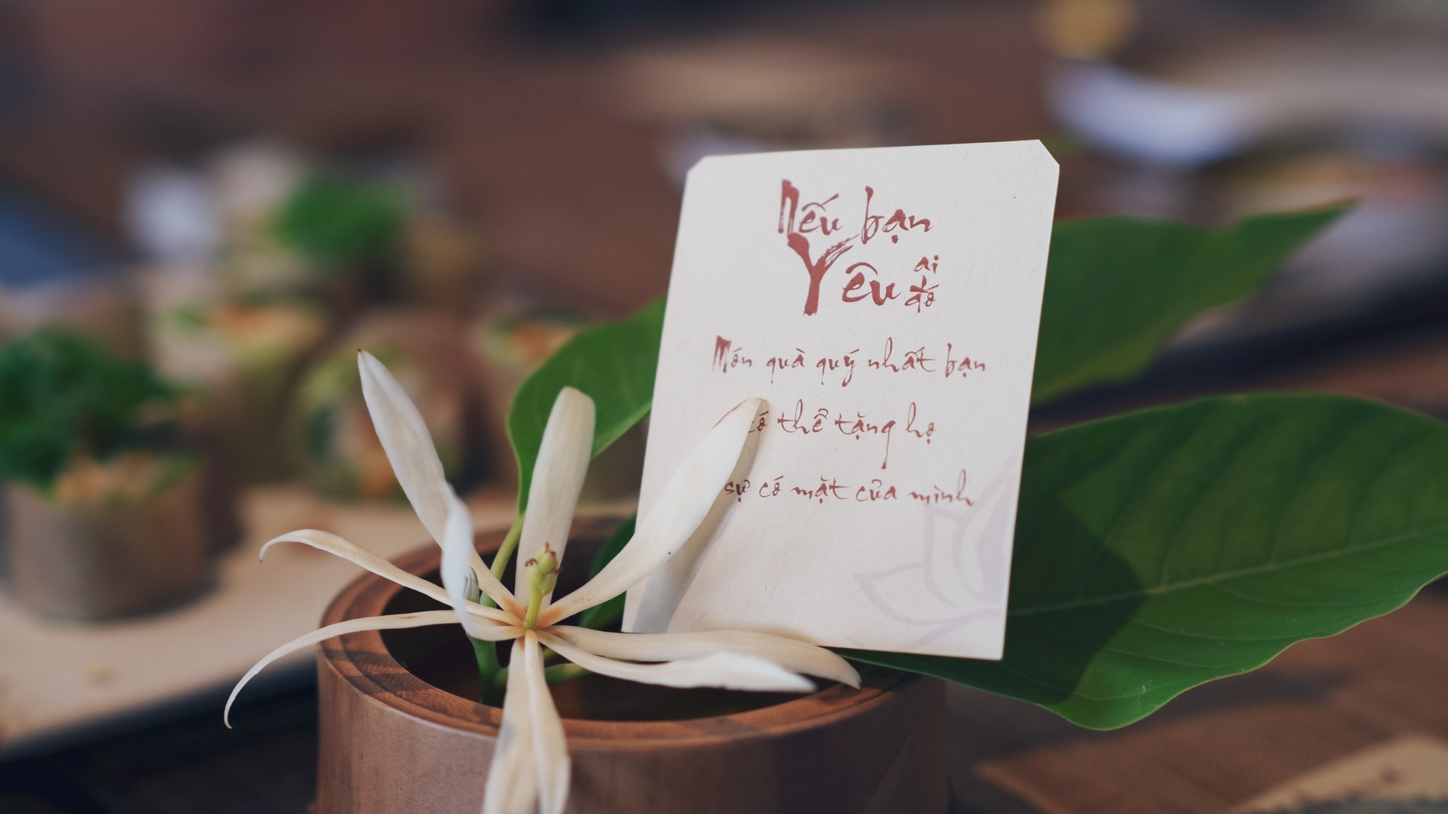 Cùng THAVICO Hàm Dưỡng Năng Lượng Với Nếp Sống Thiền Cho Sự Sống Sinh Sôi tại Maha Mangala